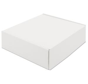 CAJA DE PRESENTACION CARTON CORRUGADO "ZARIS"