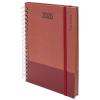 AGENDA ANILLA P.CARDIN "AMBERES" DIA/PAGINA