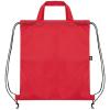 BOLSA MOCHILA RPET "CAROT"